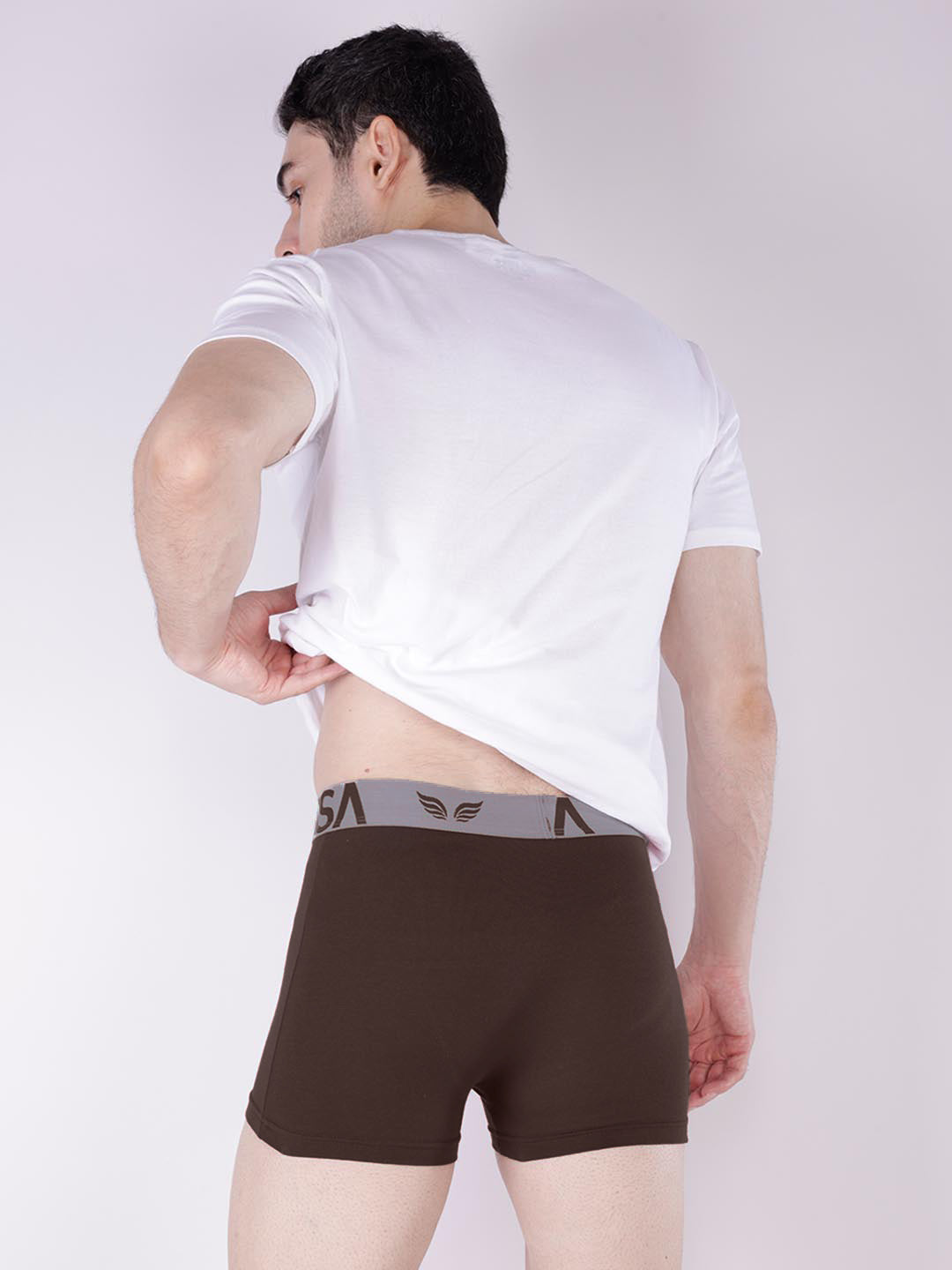 mr fit 4105 plus plain trunk for men #color_bistre