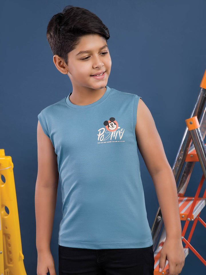 b-3637 rnbs printed t-shirt for boys